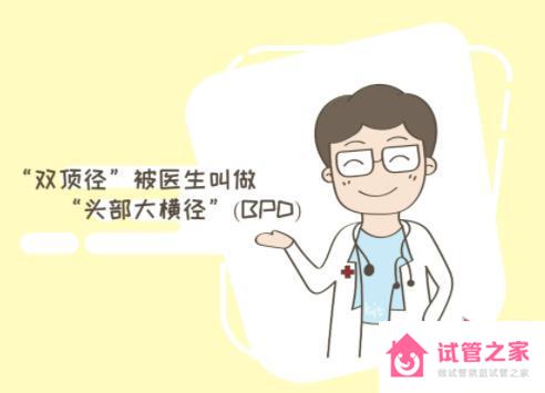 雙頂徑又稱BPD