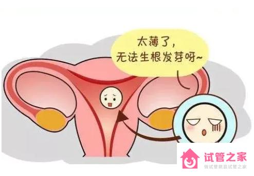 內(nèi)膜薄用什么促排方案