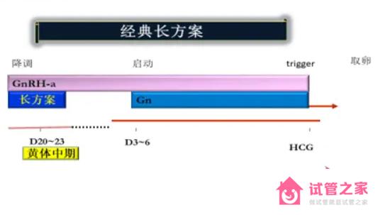 長方案示例圖