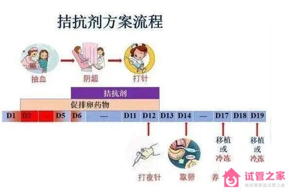 拮抗劑方案流程示意圖