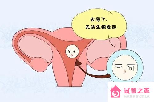 囊胚移植失敗后多久可以再移植