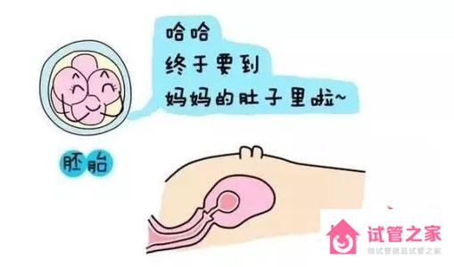 試管嬰兒只能活40歲是真的嗎