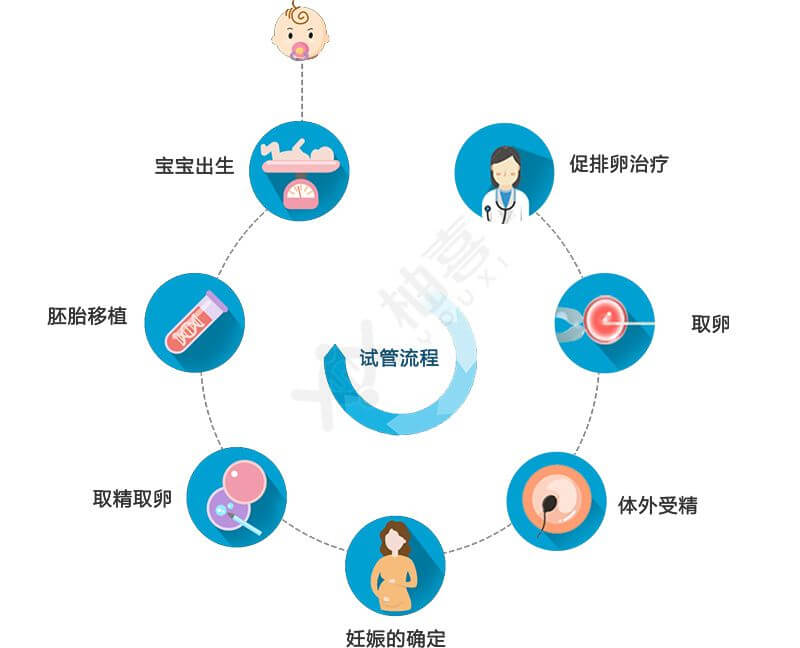 美國試管嬰兒流程圖