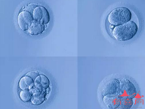 三級(jí)胚胎可以移植嗎