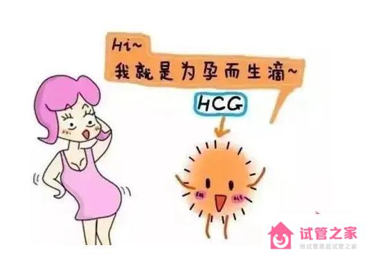 hcg正常值參考范圍