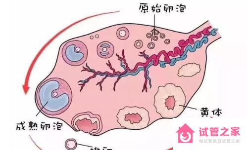 原始*泡到成熟*泡