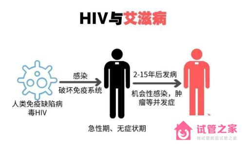 感染hiv到艾滋病四階段