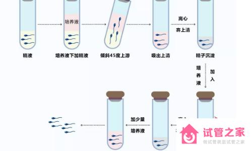 精子洗滌后進行三*試管