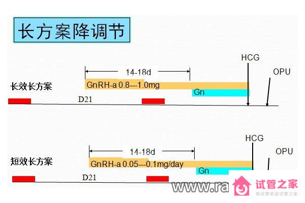 試管影響因素