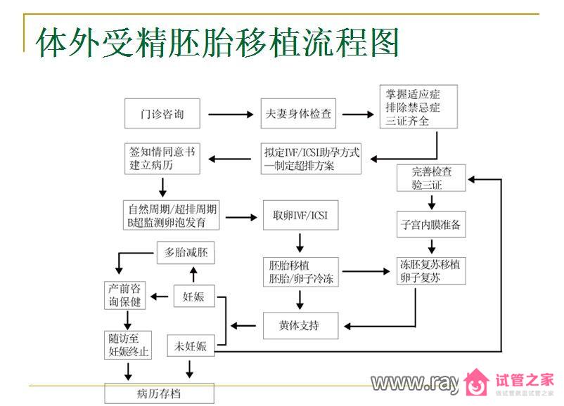 試管影響因素