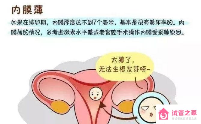 女性子宮內(nèi)膜薄，俄羅斯試管嬰兒成功率高嗎