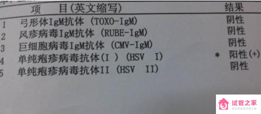 單純皰疹病毒1型igg