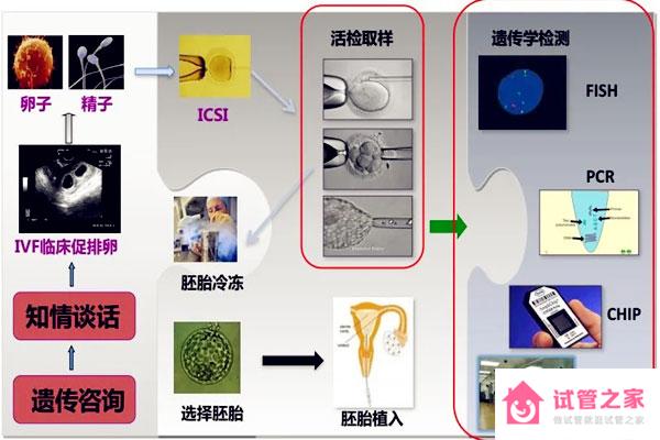 三*試管大概多少錢？成功率更高嗎？人人都適合做嗎？本文說透了！