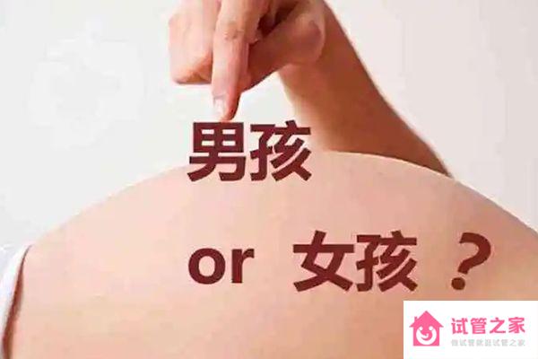 生男生女是概率問(wèn)題