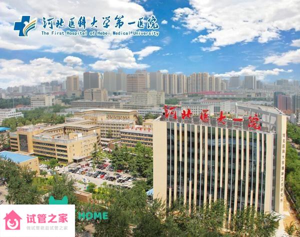 2022河北醫(yī)科大學(xué)第一醫(yī)院試管嬰兒成功率