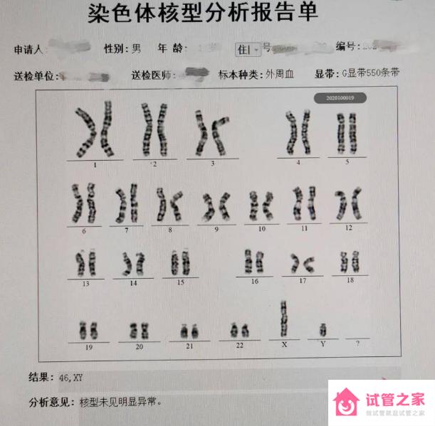 染色體核型分析報告怎么看