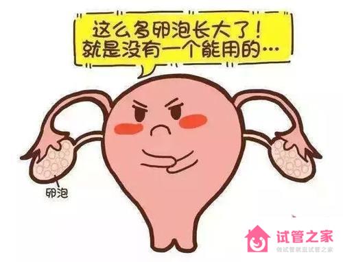 女性*泡不成熟可以懷孕嗎