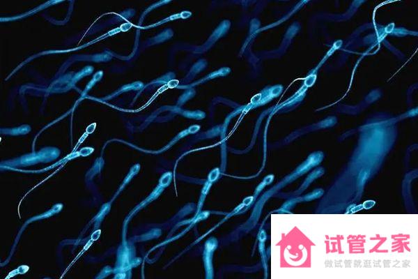 并非懷孕女性才能吃！60秒帶你了解男性能否服用斯利安