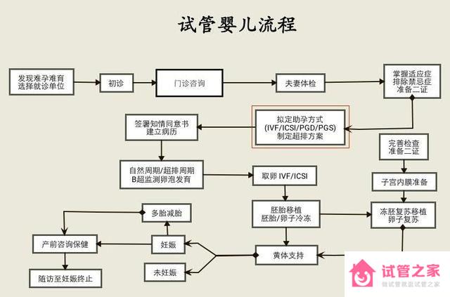 赴泰做第三*試管嬰兒的費用3大因素決定