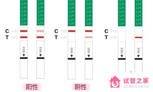 強陽其實已經(jīng)排完*了是這樣嗎