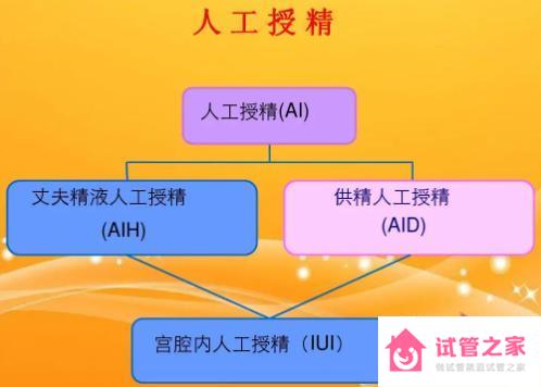 供精人工授精的流程及費用詳細說明