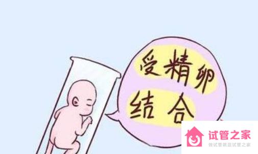 兩個(gè)女生國內(nèi)可以做試管嬰兒嗎