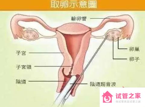 捐*對身體有什么傷害或影響嗎