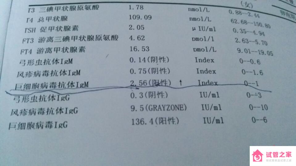 檢查出巨細(xì)胞病毒igm陽性可以懷孕嗎