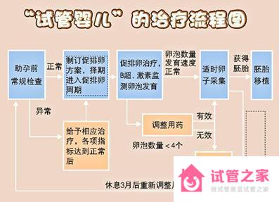 香港試管嬰兒費(fèi)用、流程、成功率介紹