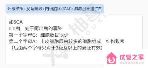 6ca囊胚質(zhì)量差不要緊，嘗試移植才有機(jī)會(huì)“好孕”！