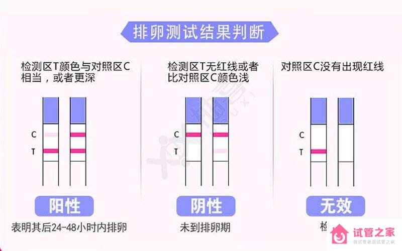 大衛(wèi)排*試紙用法詳解，簡(jiǎn)單3步快速、準(zhǔn)確完成測(cè)試