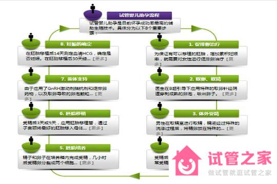 泰國第三*試管嬰兒攻略詳解