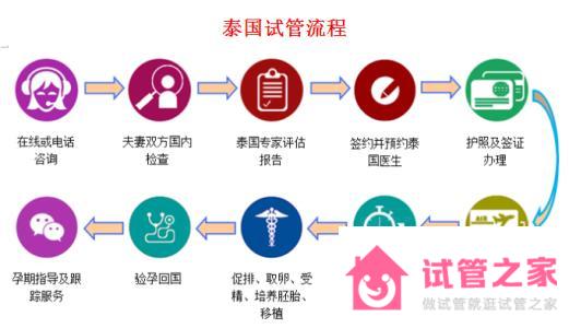 泰國第三*試管嬰兒流程、費(fèi)用、成功率指南