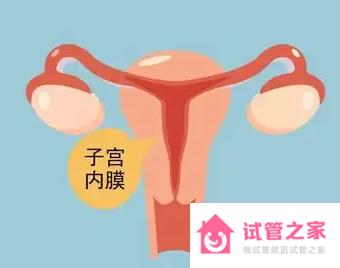 子宮內(nèi)膜太薄、太厚會影響好孕嗎 怎么改善好內(nèi)膜環(huán)境呢