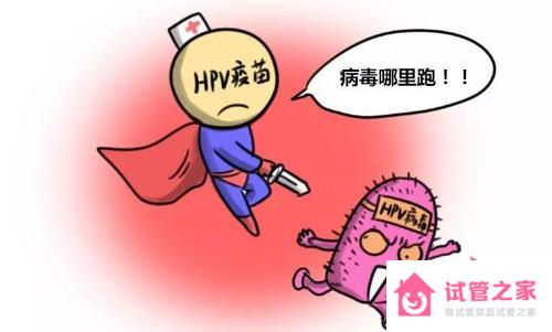 hpv疫苗接種禁忌癥和注意事項有哪些