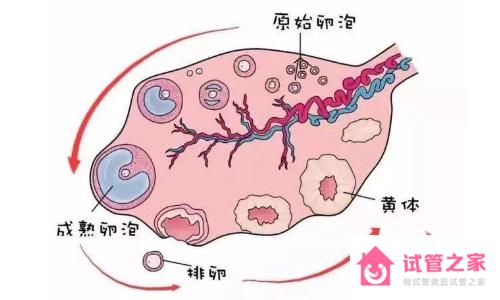 排*的時(shí)候會(huì)有什么感覺(jué)