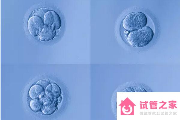 合肥試管嬰兒*懷生子機(jī)構(gòu)排名、哪家醫(yī)院成功率最高！