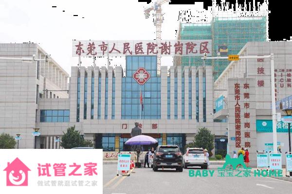 2022東莞市人民醫(yī)院試管嬰兒成功率一覽，附試管成功經(jīng)驗(yàn)分享 ...