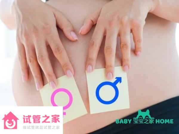 孕14周nt值1.5mm生男孩還是女孩的可能性大？揭秘nt值1.5mm男寶女寶可能性 