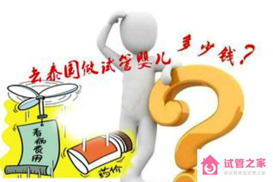 做泰國(guó)試管嬰兒費(fèi)用需要準(zhǔn)備多少錢