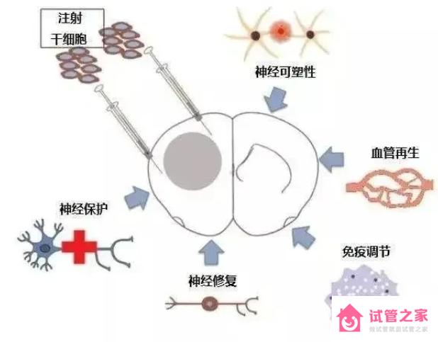 當(dāng)試管碰上薄型子宮內(nèi)膜怎么辦？別慌！自有妙招！