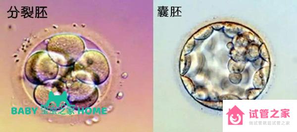 37歲高齡做試管放3個胚胎可以增加著床成功率嗎？