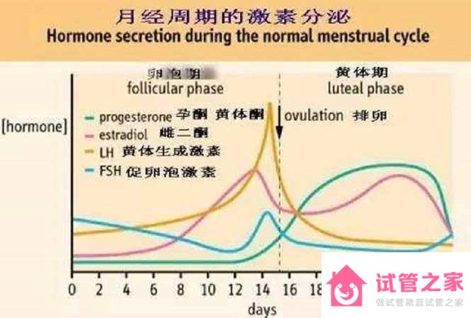 FSH正常值范圍是多少？血檢FSH值6正常嗎？