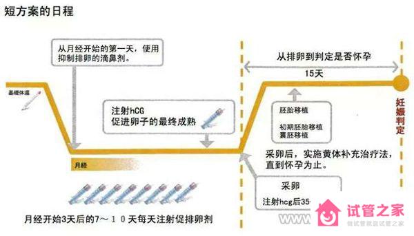 試管短方案促排一般促排幾天？促排*期間需要注意些什么