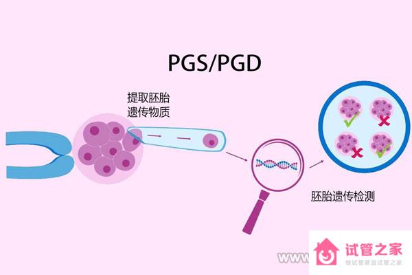 什么是第三*試管嬰兒技術(shù)