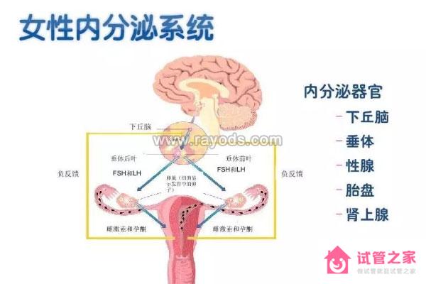 泰國試管嬰兒專家解讀導(dǎo)致IVF失敗的6個常見原因