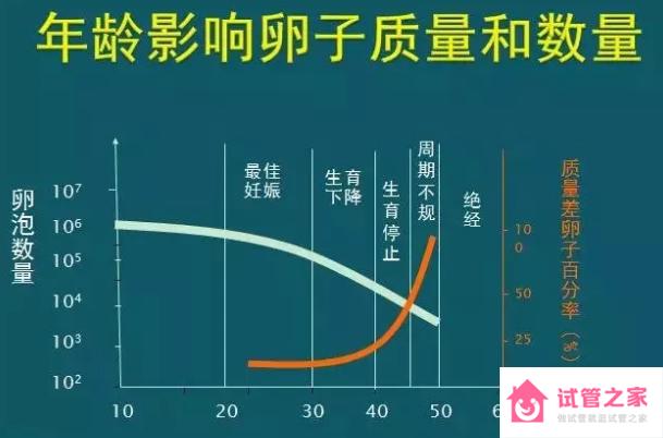 40歲做泰國(guó)試管嬰兒成功率有多大高嗎？