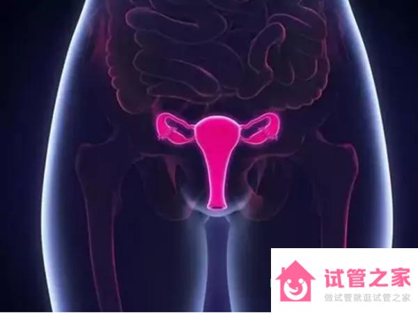 30歲女性amh值低至0.5怎么辦？怎么調(diào)理？