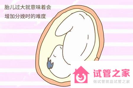 美國醫(yī)院做試管生龍鳳胎費用多少錢?