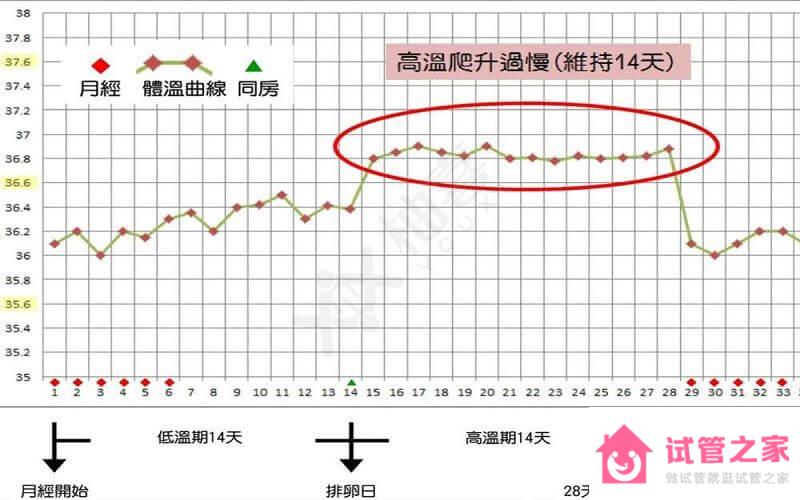 2022預(yù)產(chǎn)期計(jì)算器及公式，教你準(zhǔn)確自測(cè)預(yù)產(chǎn)期